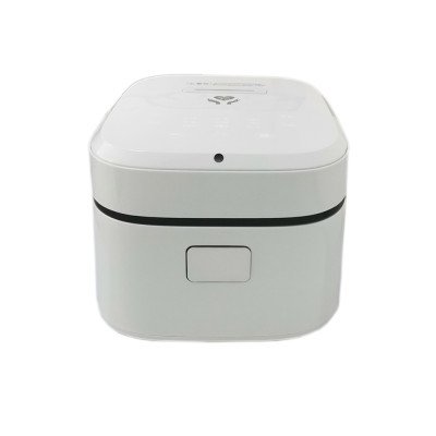 ALK New Design Talking Braille Rice Cooker with Touch and Voice Control Panel