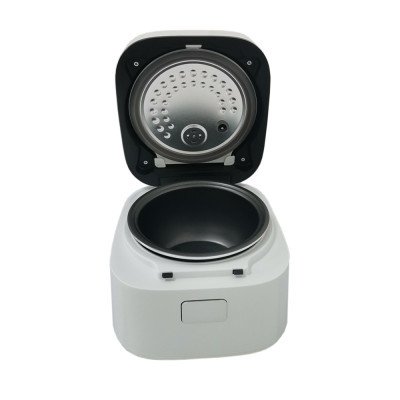 ALK New Design Talking Braille Rice Cooker with Touch and Voice Control Panel
