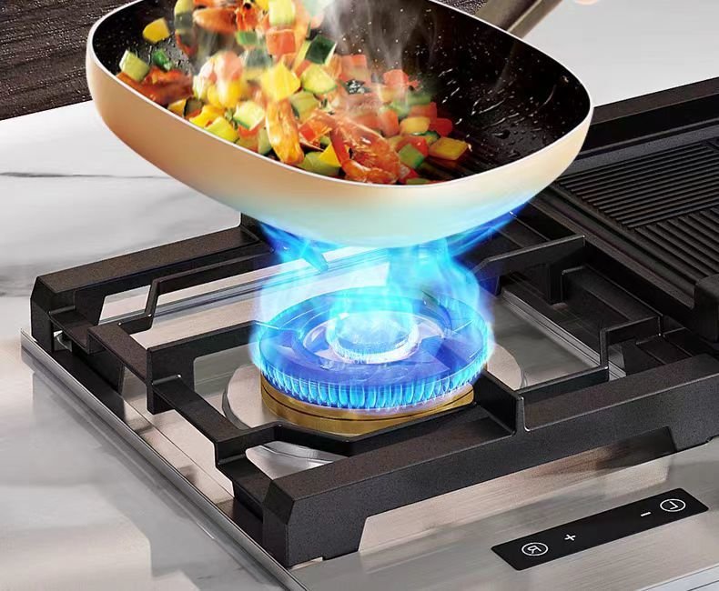 ALK-S401 Gas Hob